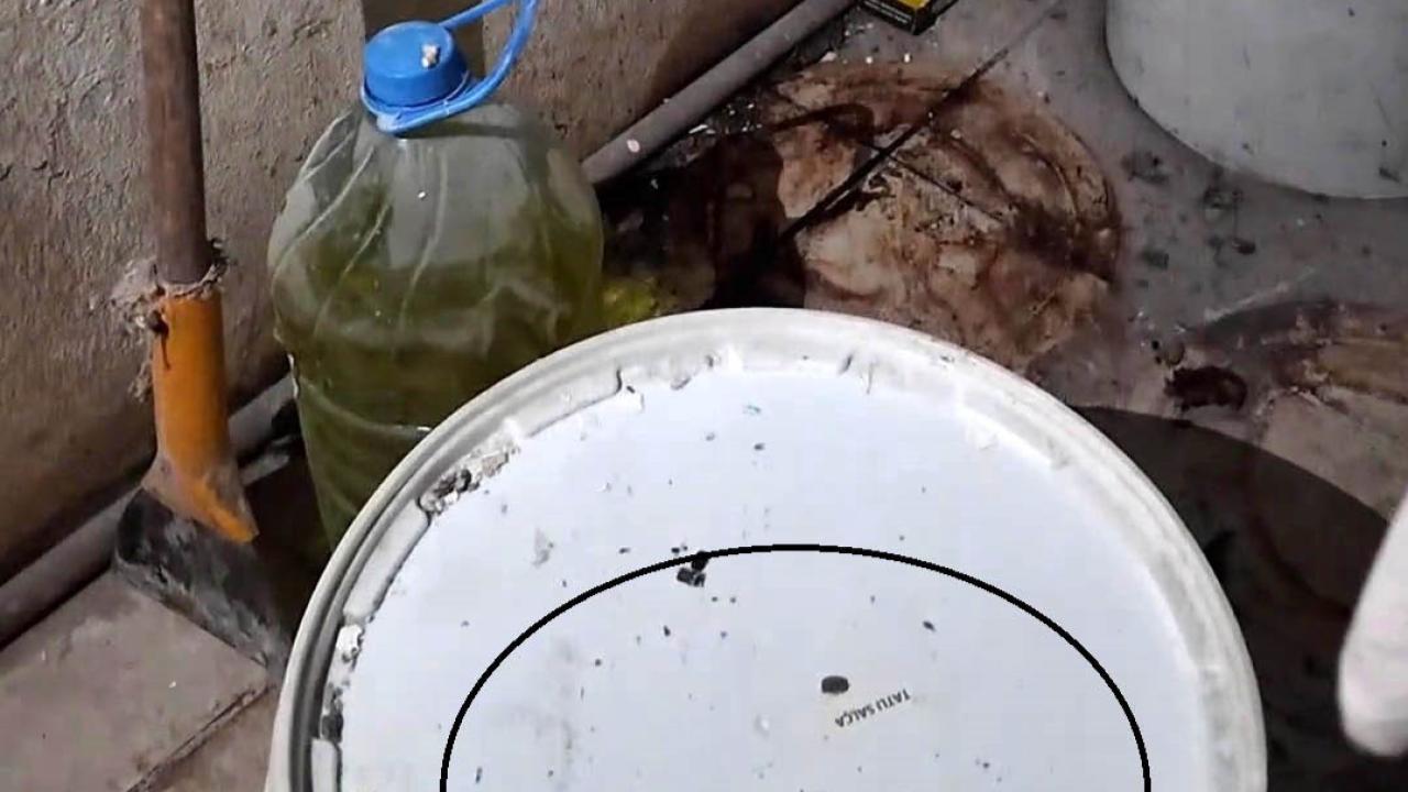 Zabıta Denetiminde Şok! Fırınlarda Eksik Gramaj Ve Böcek