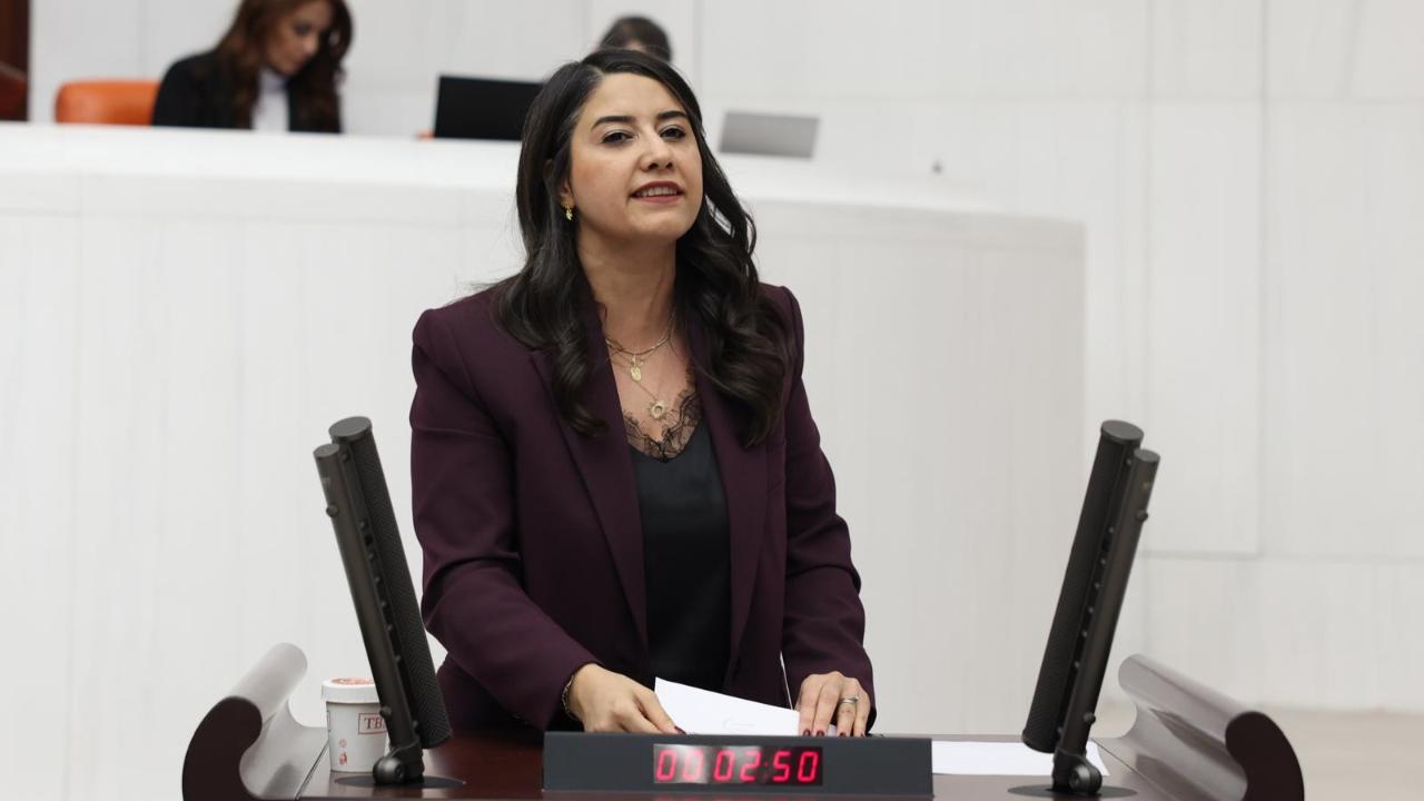 Şanlıurfa Milletvekili Ayan’dan TBMM'ye Anadil Önergesi!