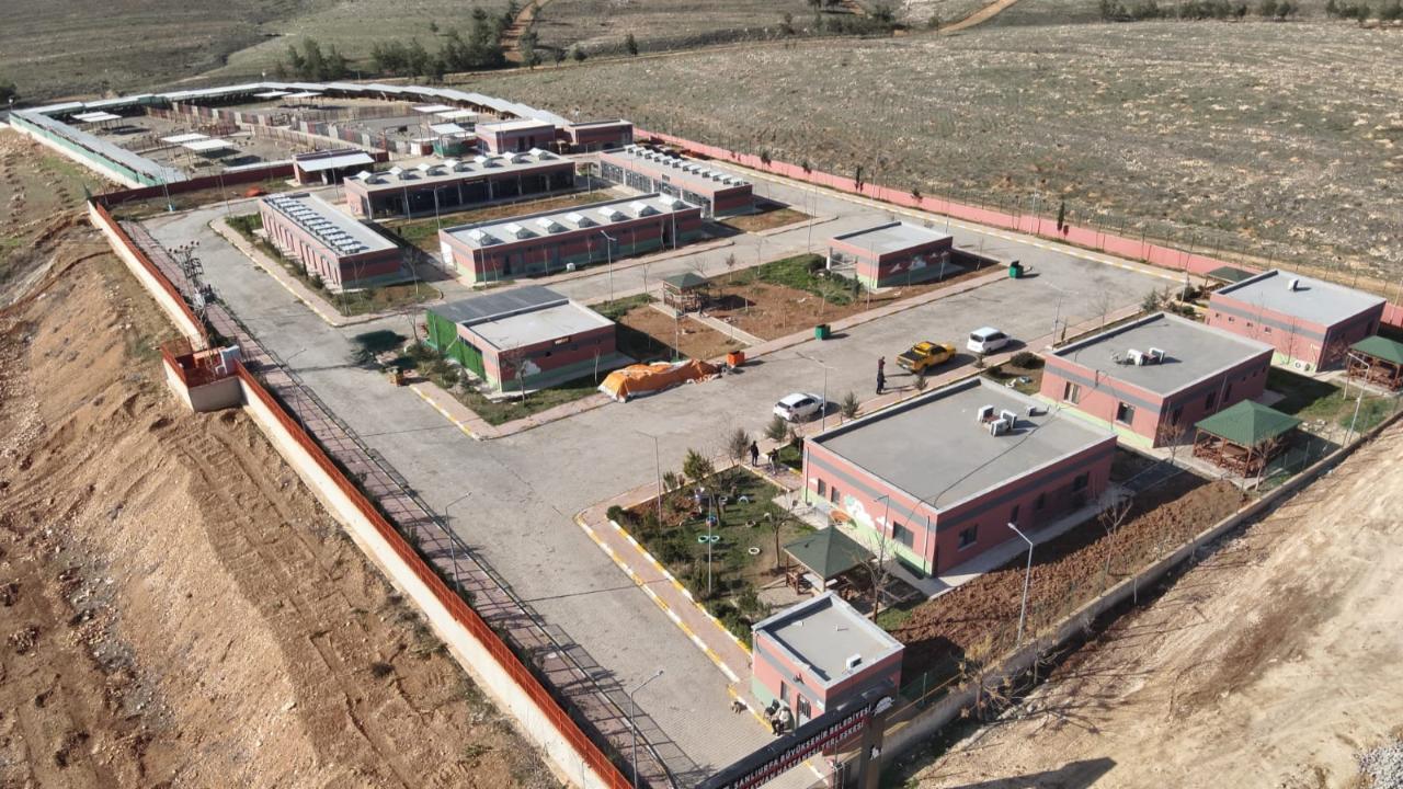 Şanlıurfa'da sahipsiz hayvanların toplanmasında hedefe ulaşıldı!