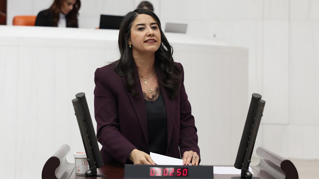Urfa Vekili Kunt Ayan'dan "Cinskırım" önergesi!