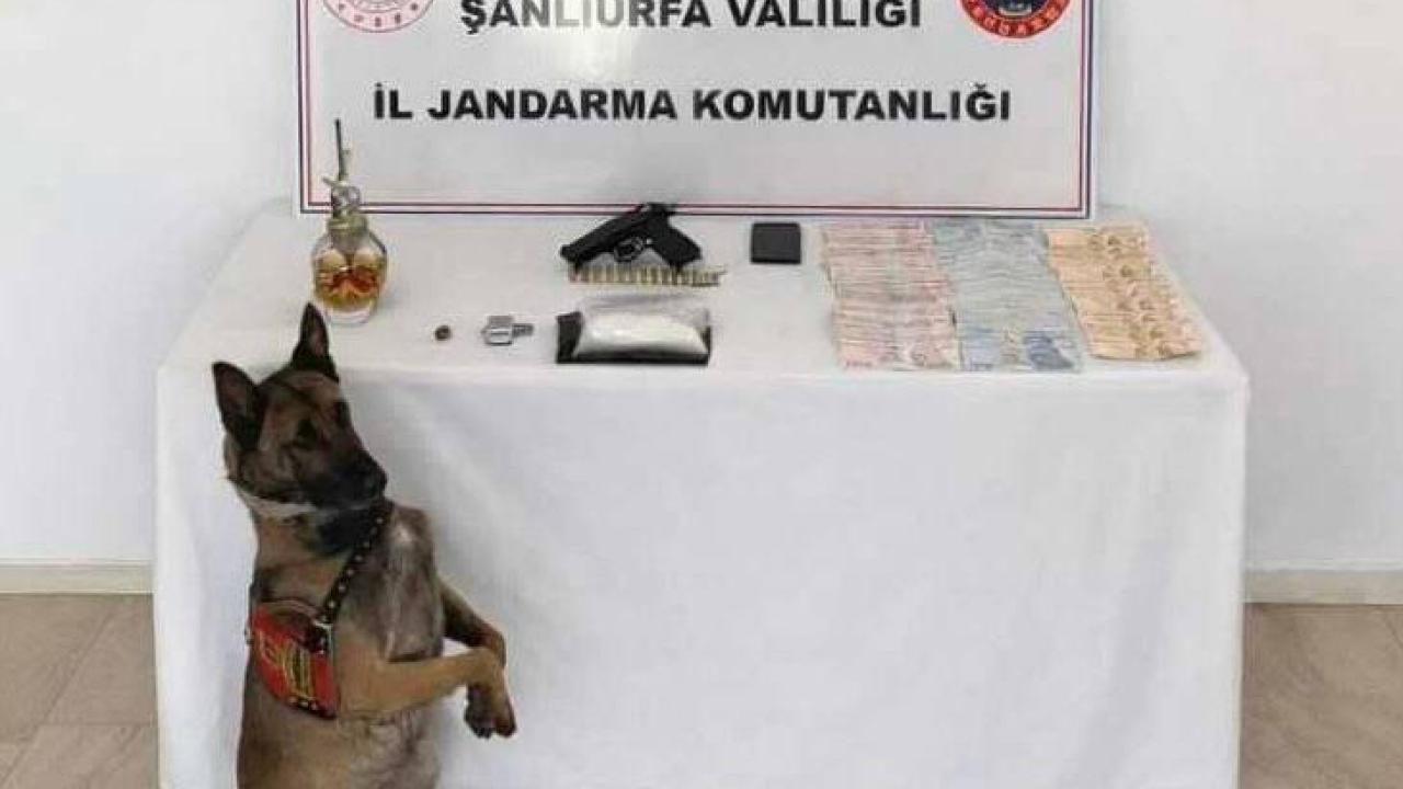 Şanlıurfa'da uyuşturucu operasyonu!