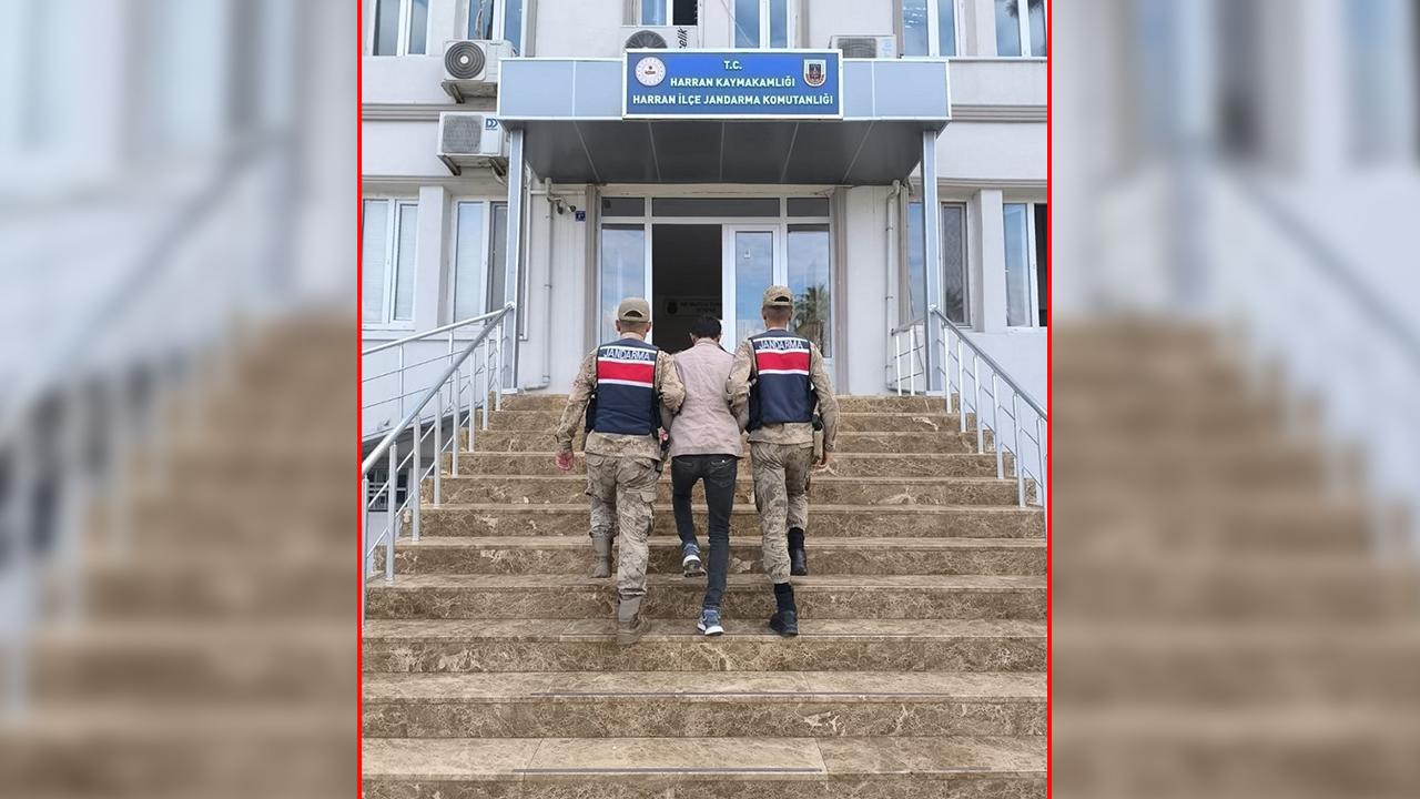 Urfa'daki hırsızlık olayına ilişkin yeni gelişme!