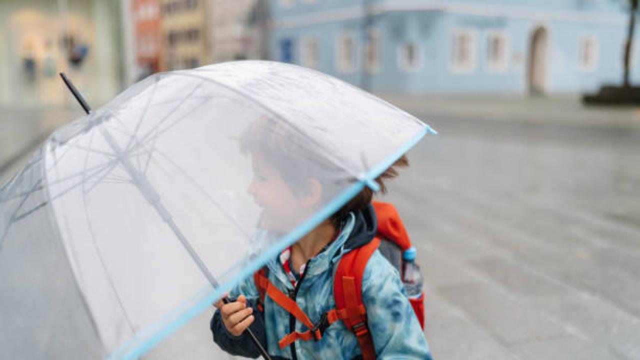 Şanlıurfa'daki ilçelerde okullar tatil edildi!