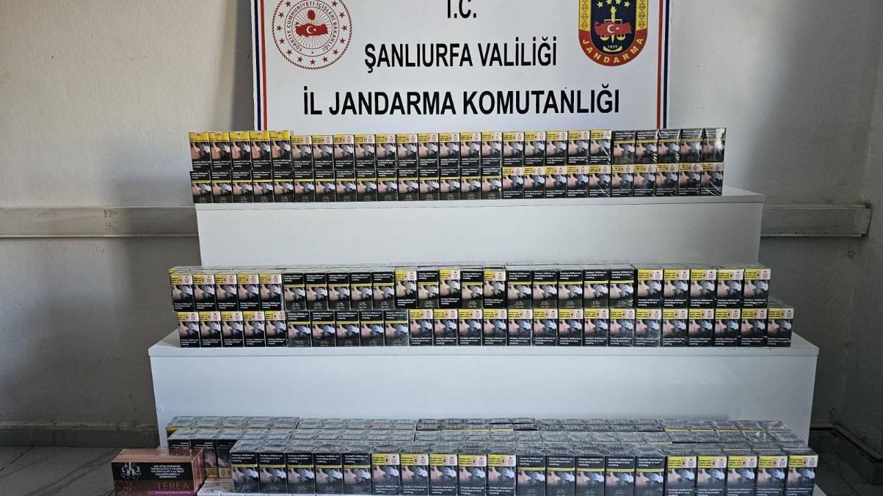 Urfa'da binlerce paket ele geçirildi! Çok sayıda şahıs yakalandı!