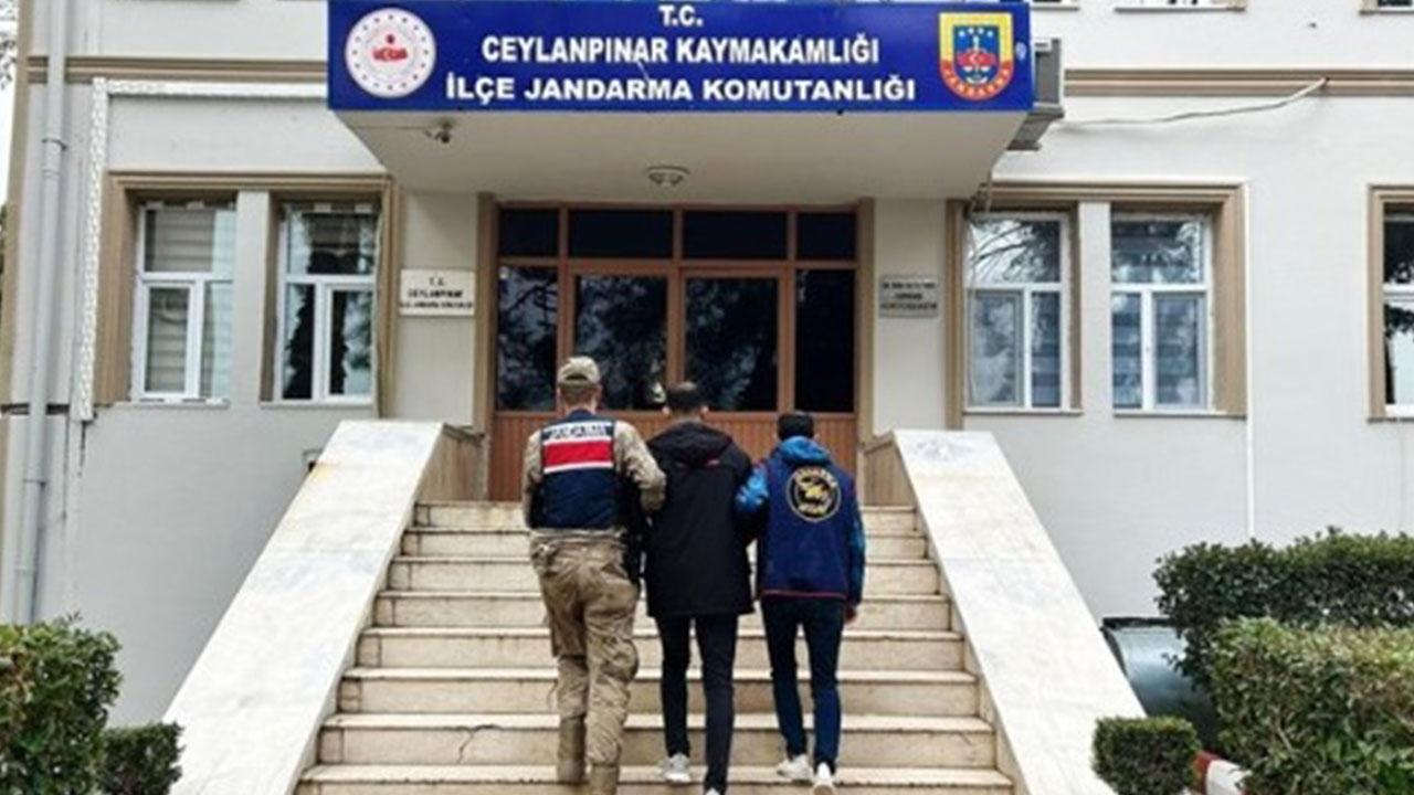 Ceylanpınar'da firari hükümlü yakalandı!