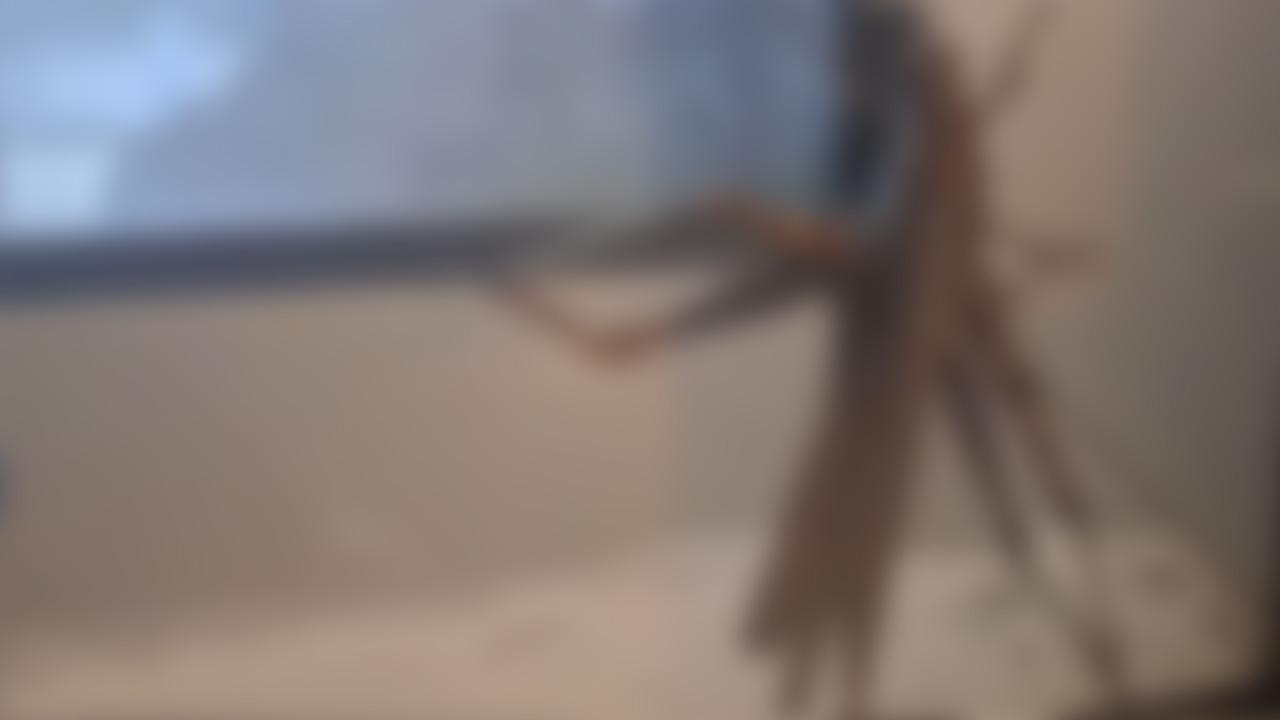 Gören bir daha baktı, boyutu şaşkınlık oluşturdu!