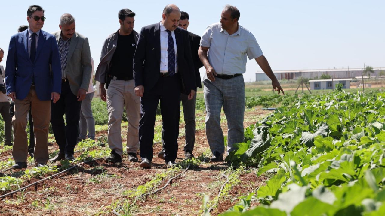 BAŞKAN GÜLPINAR’DAN DÜNYA ÇİFTÇİLER GÜNÜ MESAJI