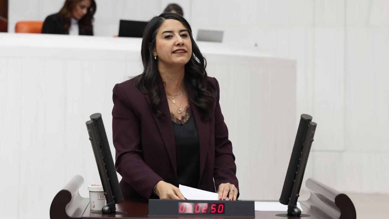 DEM Parti Milletvekili Ayan'dan Şanlıurfa'daki hekim eksikliğine tepki!