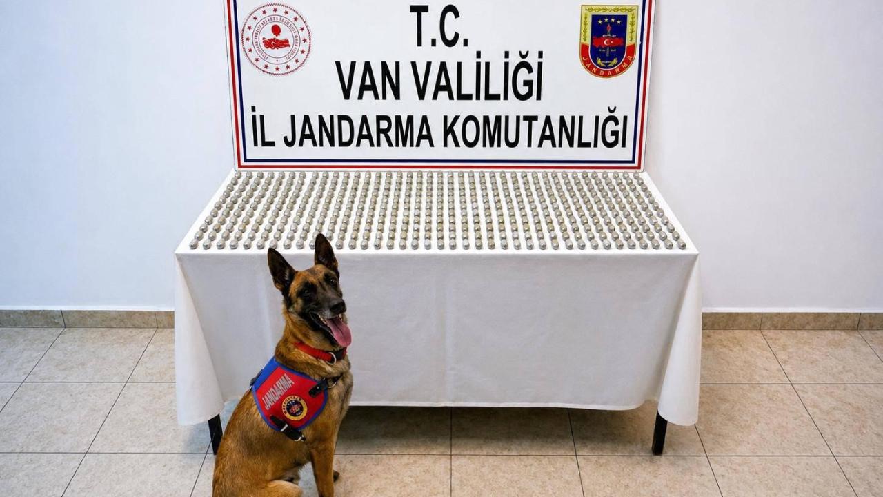 8 İranlı'nın midesinde 3 kilo esrar ele geçirildi!
