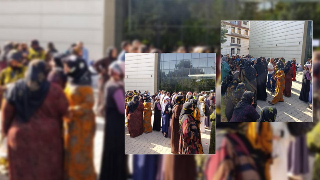 Tanal’dan banka kuyruklarına tepki: İnsan onuruna yakışmıyor!