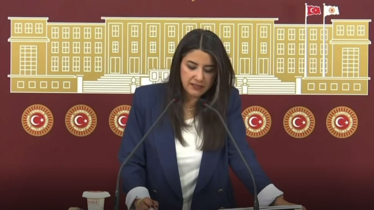 Vekil Ayan, Siverek-Şalıurfa yol sorununu Meclis'e taşıdı!