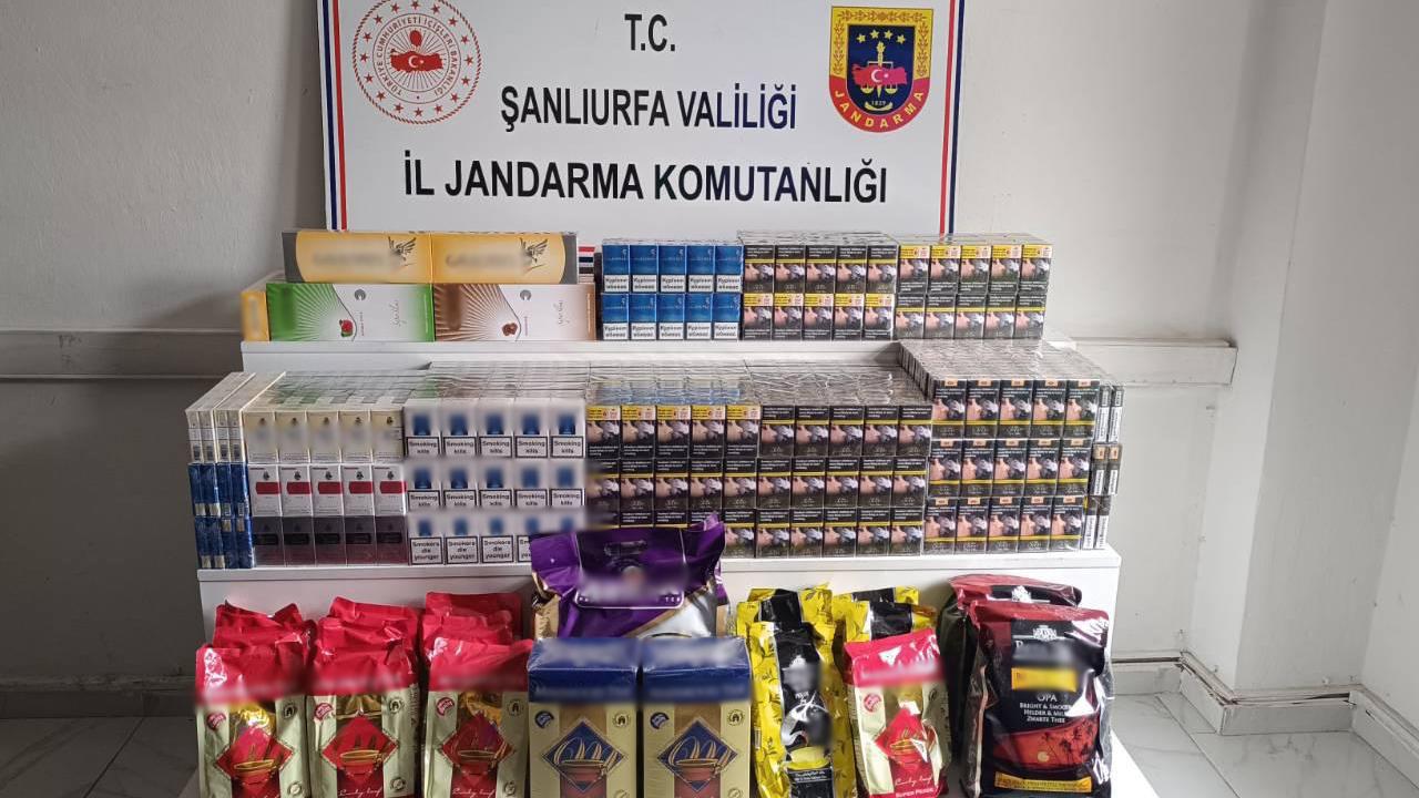 Urfa'da operasyon! 22 şüpheli şahıs yakalandı