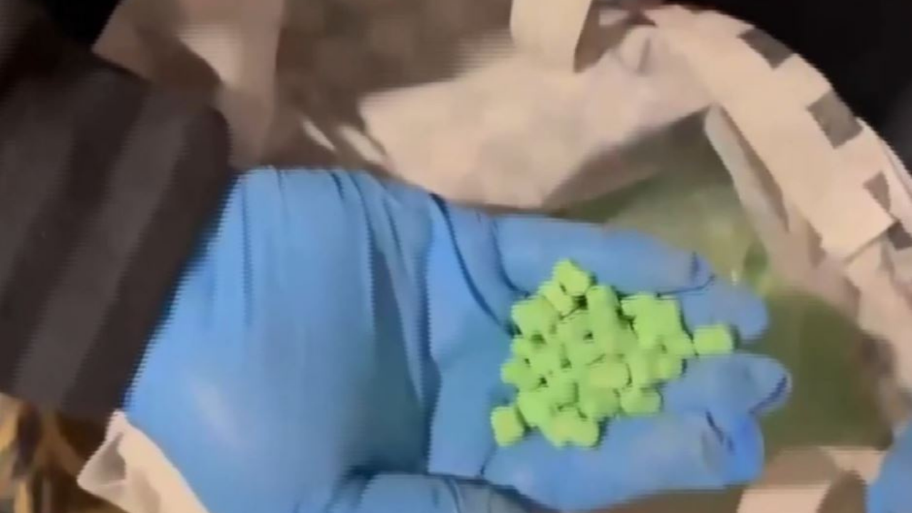 Zehir tacirlerine ağır darbe: Tonlarca madde ele geçirildi!