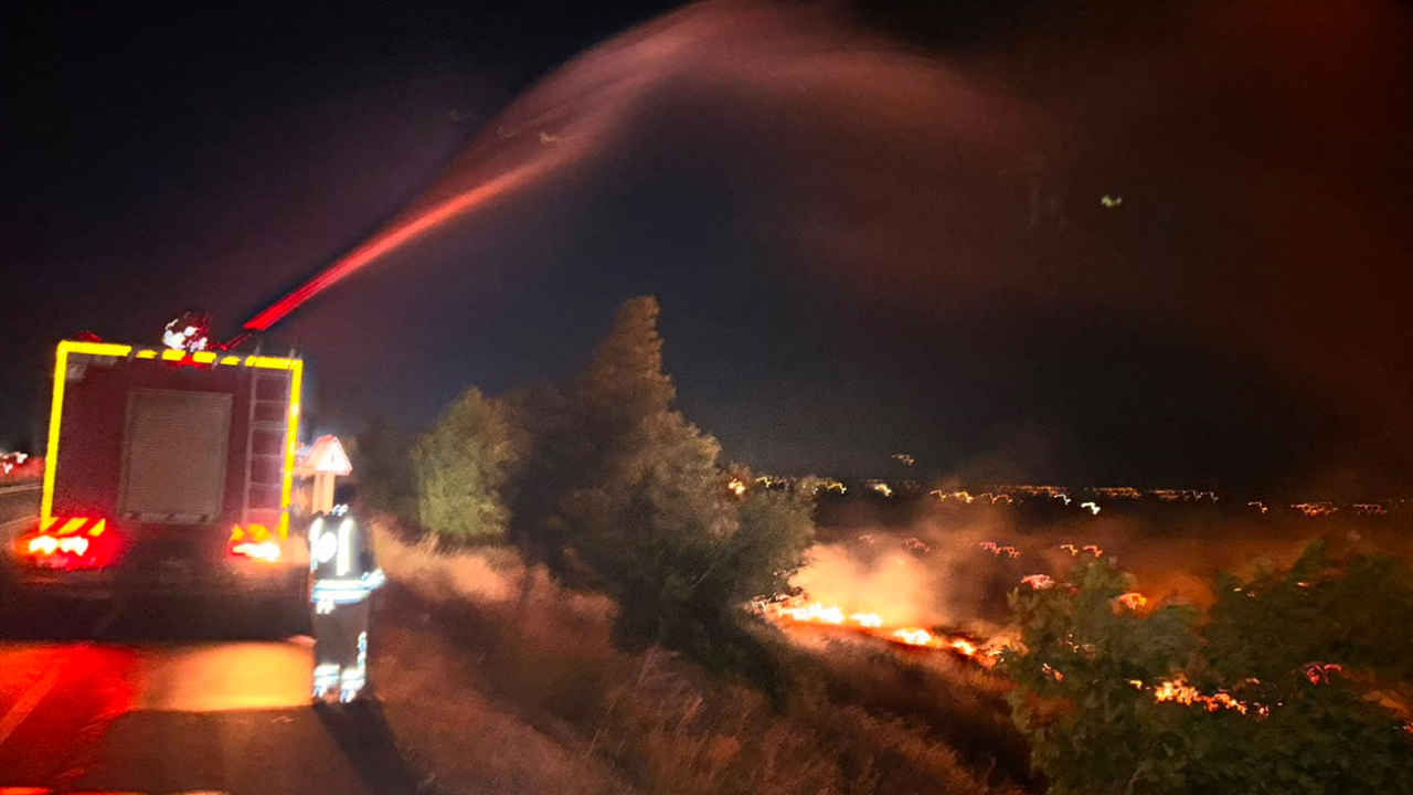 Anız yangını zeytinliğe sıçradı!