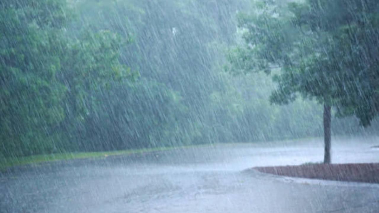 Dikkat! Meteoroloji'den 31 il için sarı uyarı!