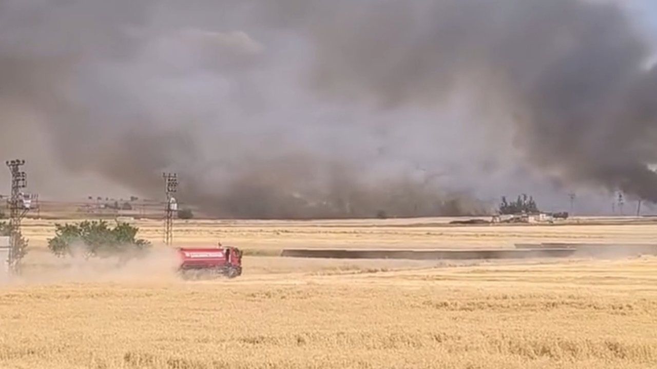 Harran’da yüzlerce dönümlük ekili arazi yandı!