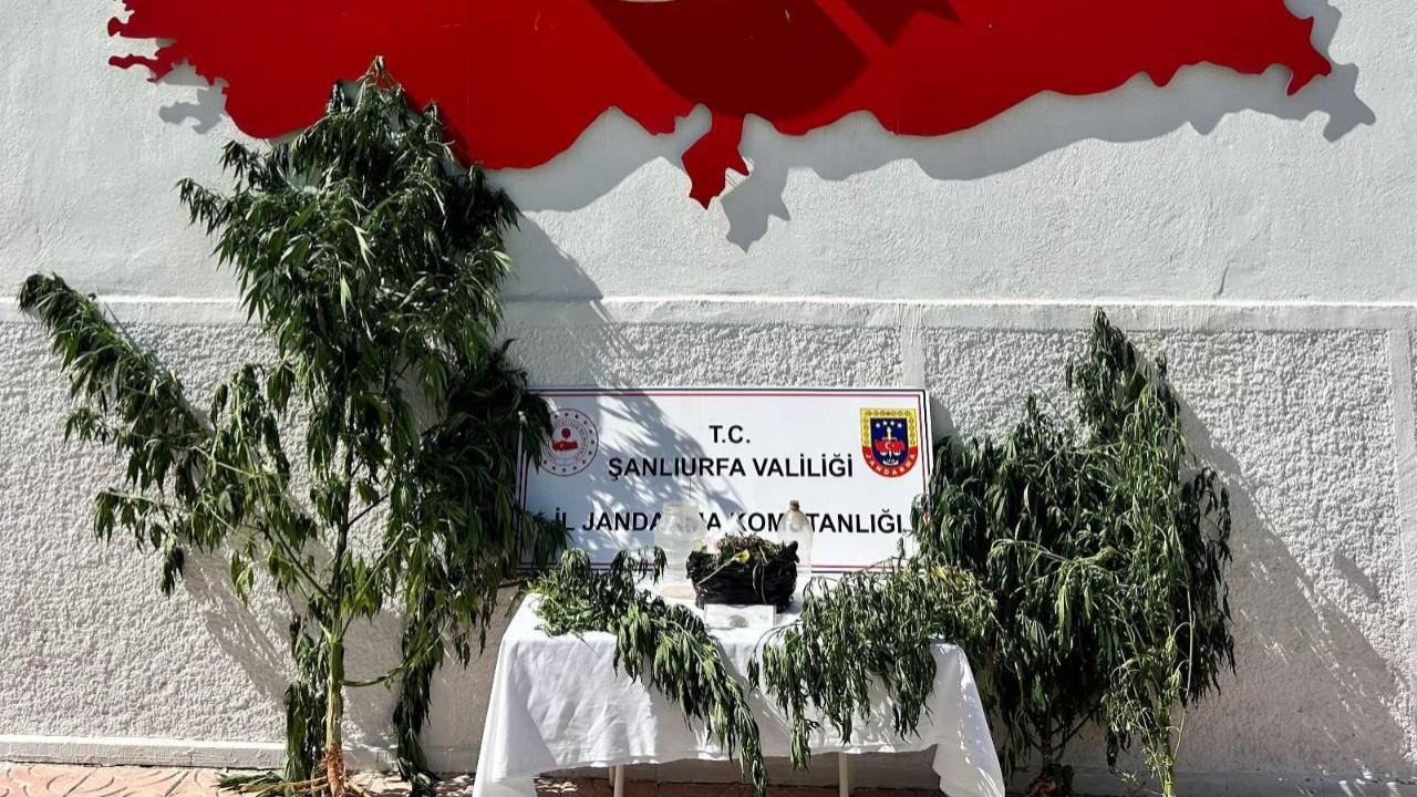 Şanlıurfa'da dev uyuşturucu operasyonu!
