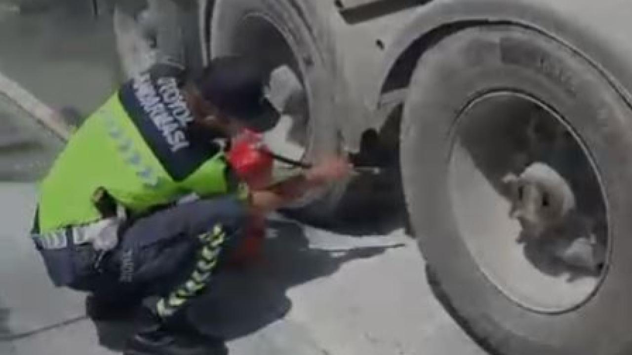 Şanlıurfa'da yangın paniği: Facia son anda önlendi!