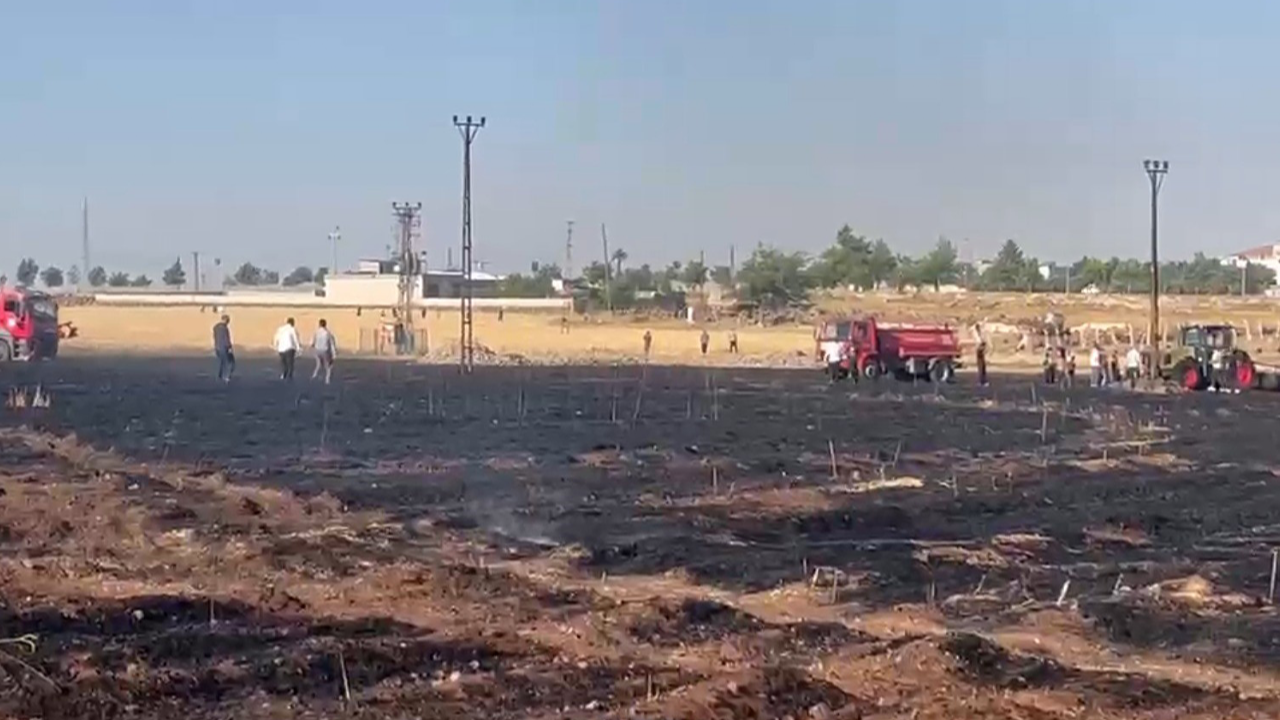 Urfa'da 60 dönümlük ekili alan alevlere teslim oldu!