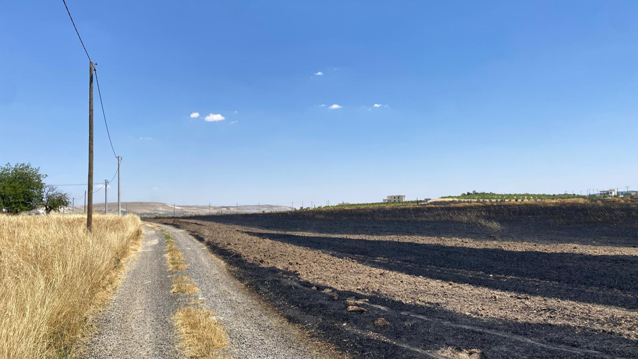 Urfa'da bir yangın daha: 300 dönüm tarla kül oldu!