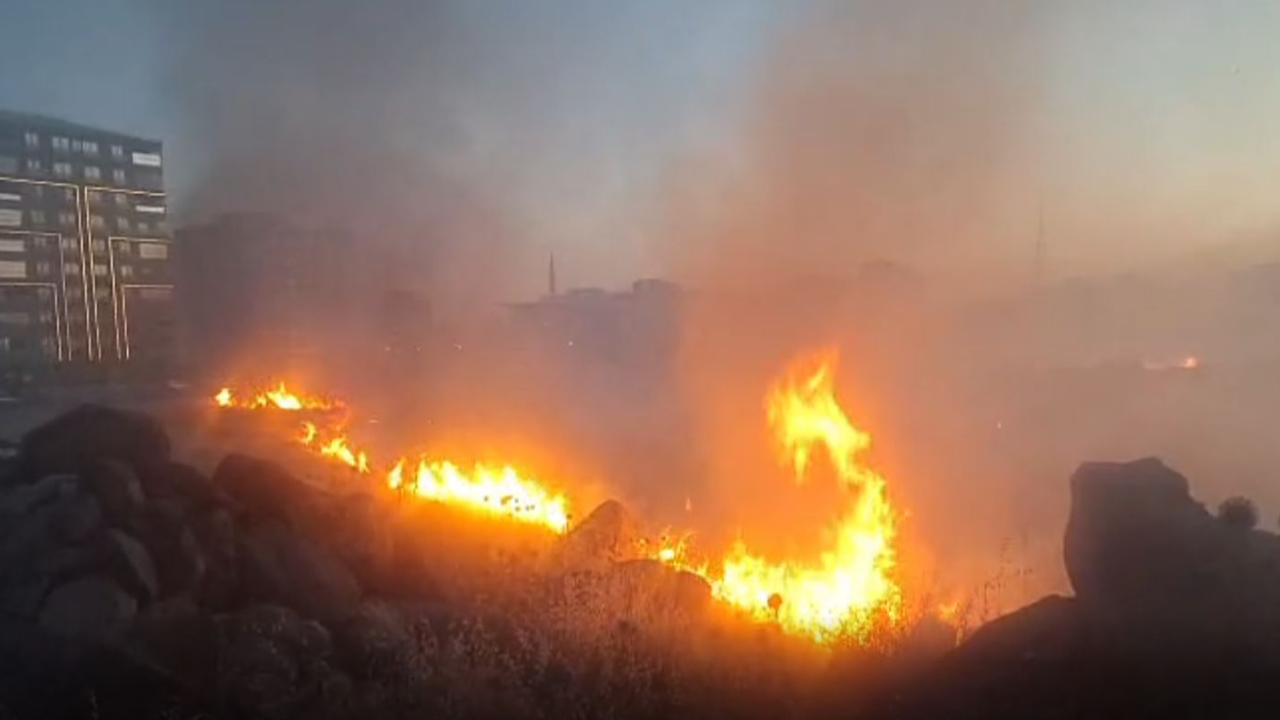 Urfa'da boş arazide yangın çıktı!