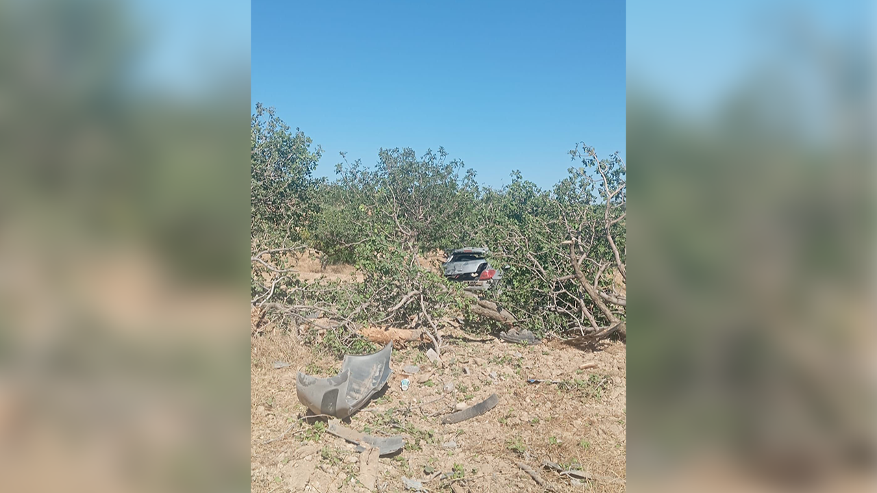 Urfa'da hatalı sollama yaptı: Fıstık tarlasına daldı!