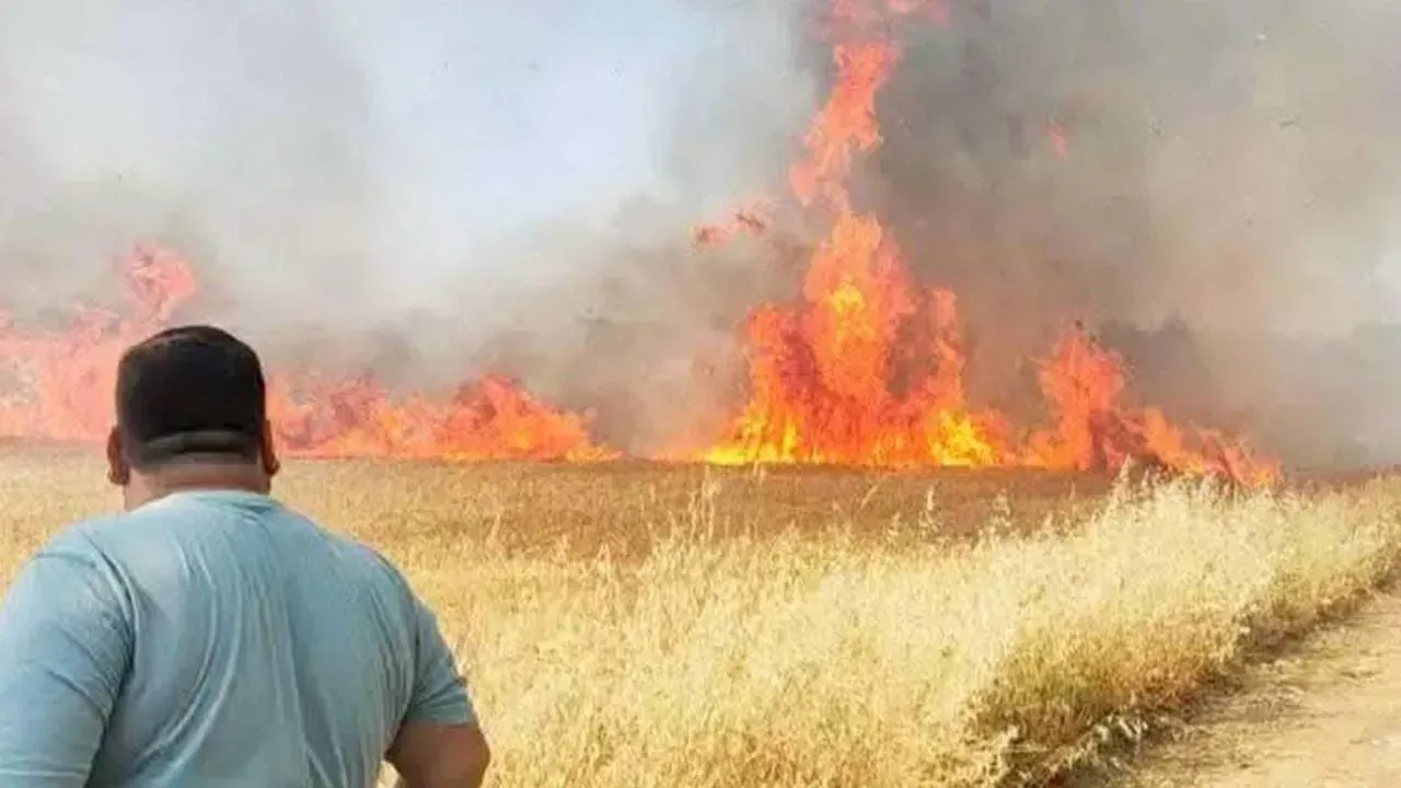 Urfa'da korkutan yangın bilançosu! Bir günde 227 yangın çıktı!