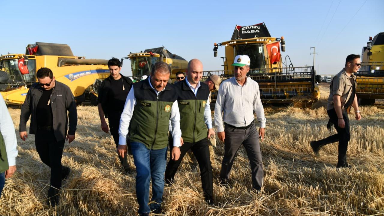Vali Şıldak’ın katılımıyla TİGEM’de hasat başladı!