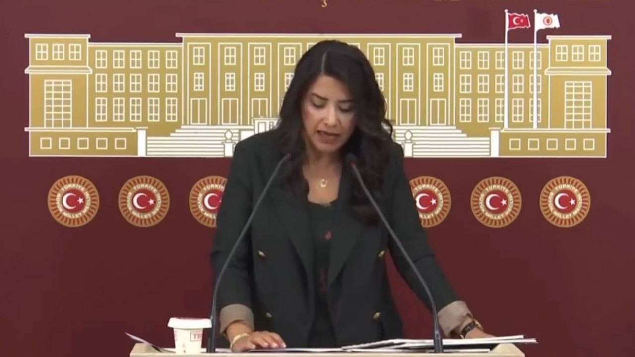 Vekil Ayan, Ceylanpınar'daki işçi alımını Meclis'e taşıdı!