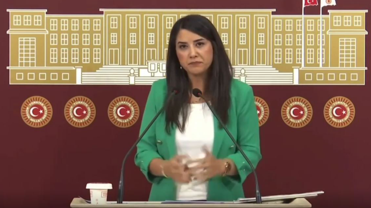 Vekil Ayan: "Sorunlar çözülmedi"