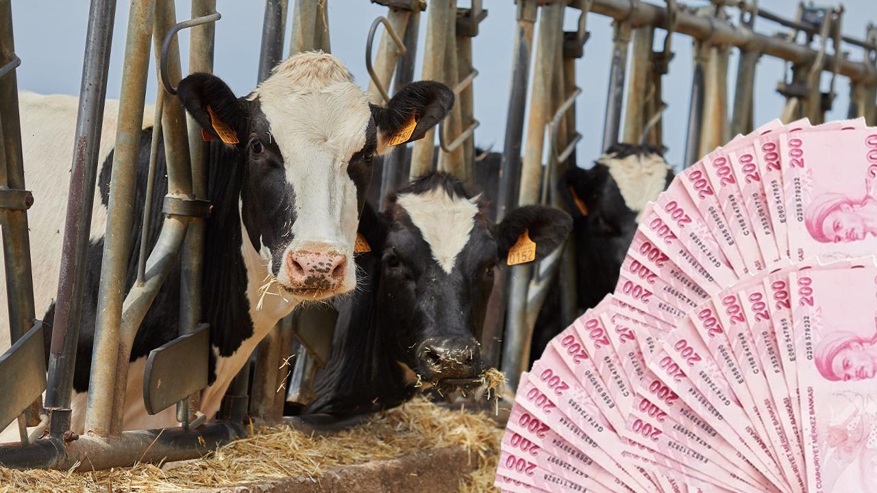 237 milyon 356 bin 99 lira hesaplara aktarılacak!