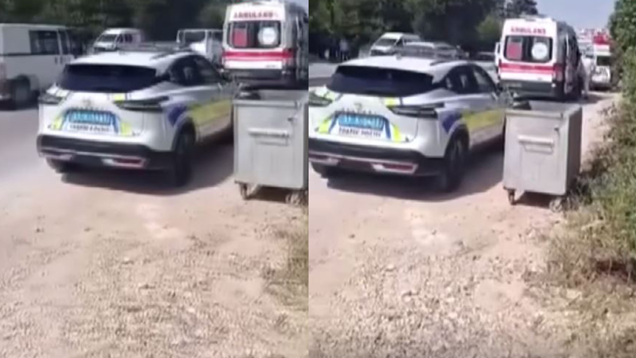 Ağaca asılı erkek cesedi bulundu!