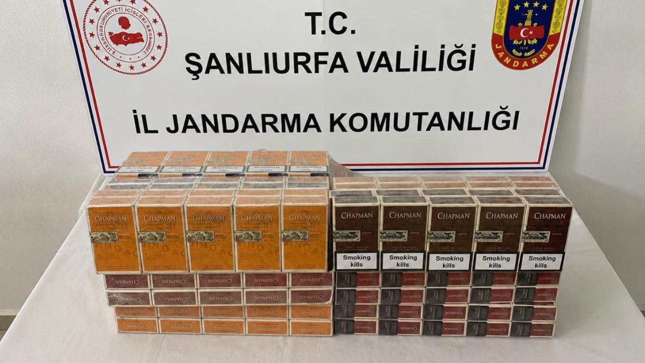 Birecik ve Suruç'ta jandarma denetimi! Çok sayıda şahsa işlem yapıldı!