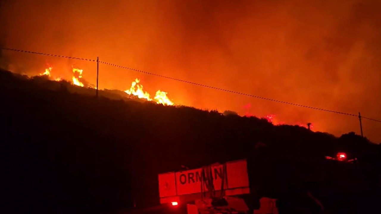 İzmir'de makilik alanda yangın!