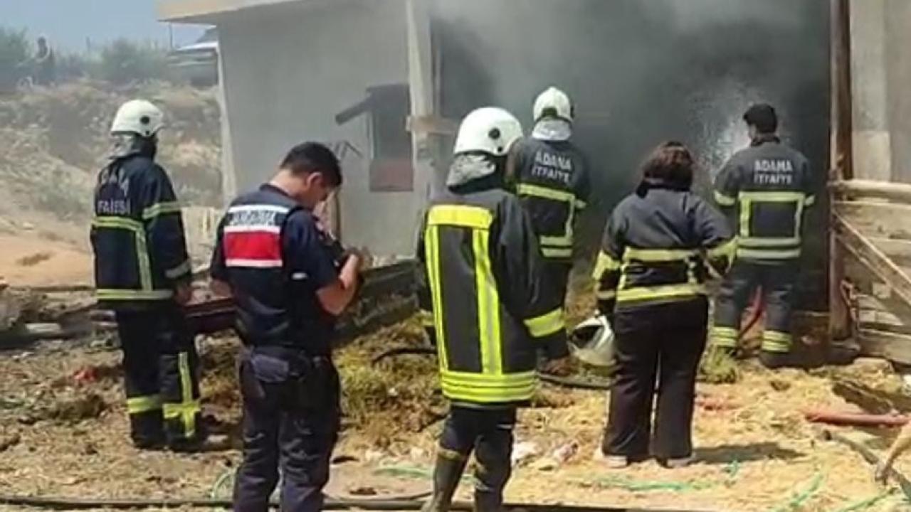 Saman balyaları alevlere teslim oldu!