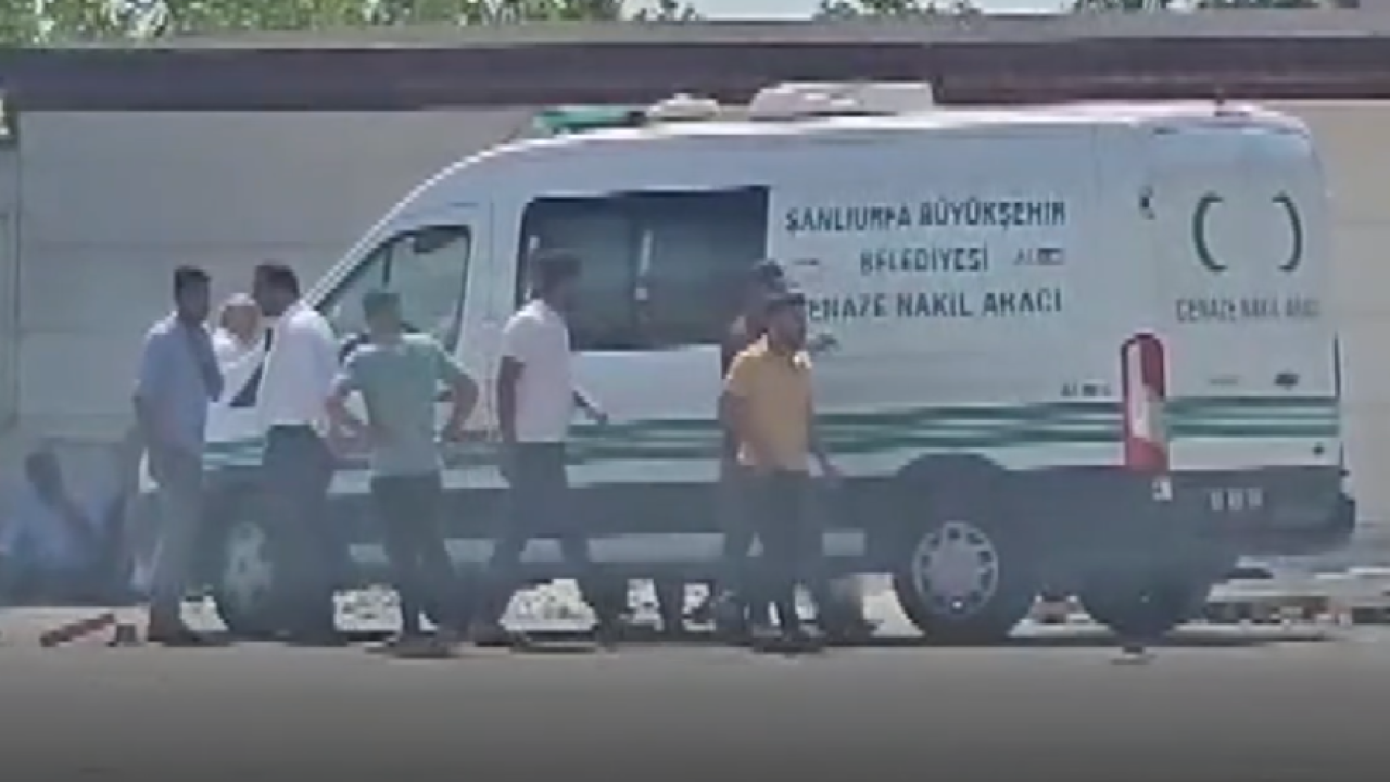 Urfa'da doktor öldü! Meslektaşı gözaltına alındı!