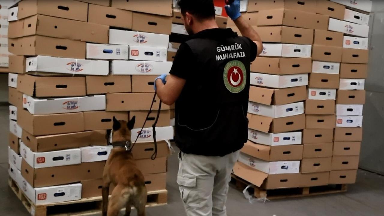 Tavuk kolilerine gizlenmiş halde bulundu: 526 kilogram uyuşturucu ele geçirildi!
