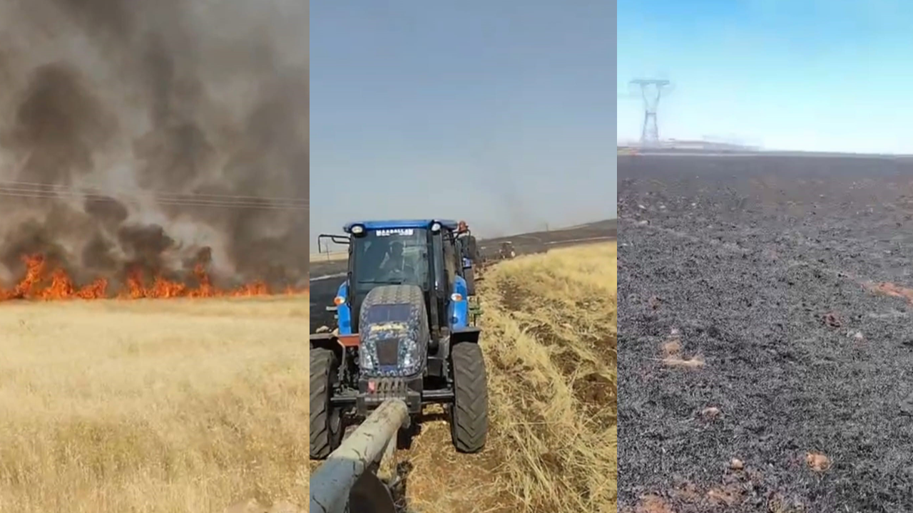 Urfa'da 45 dönümlük buğday tarlası küle döndü!