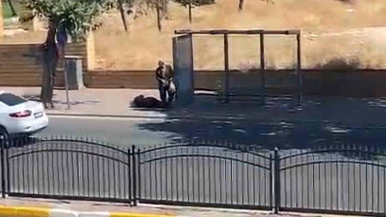 Urfa'da karısına kurşun yağdırdı: O anlar kamerada!