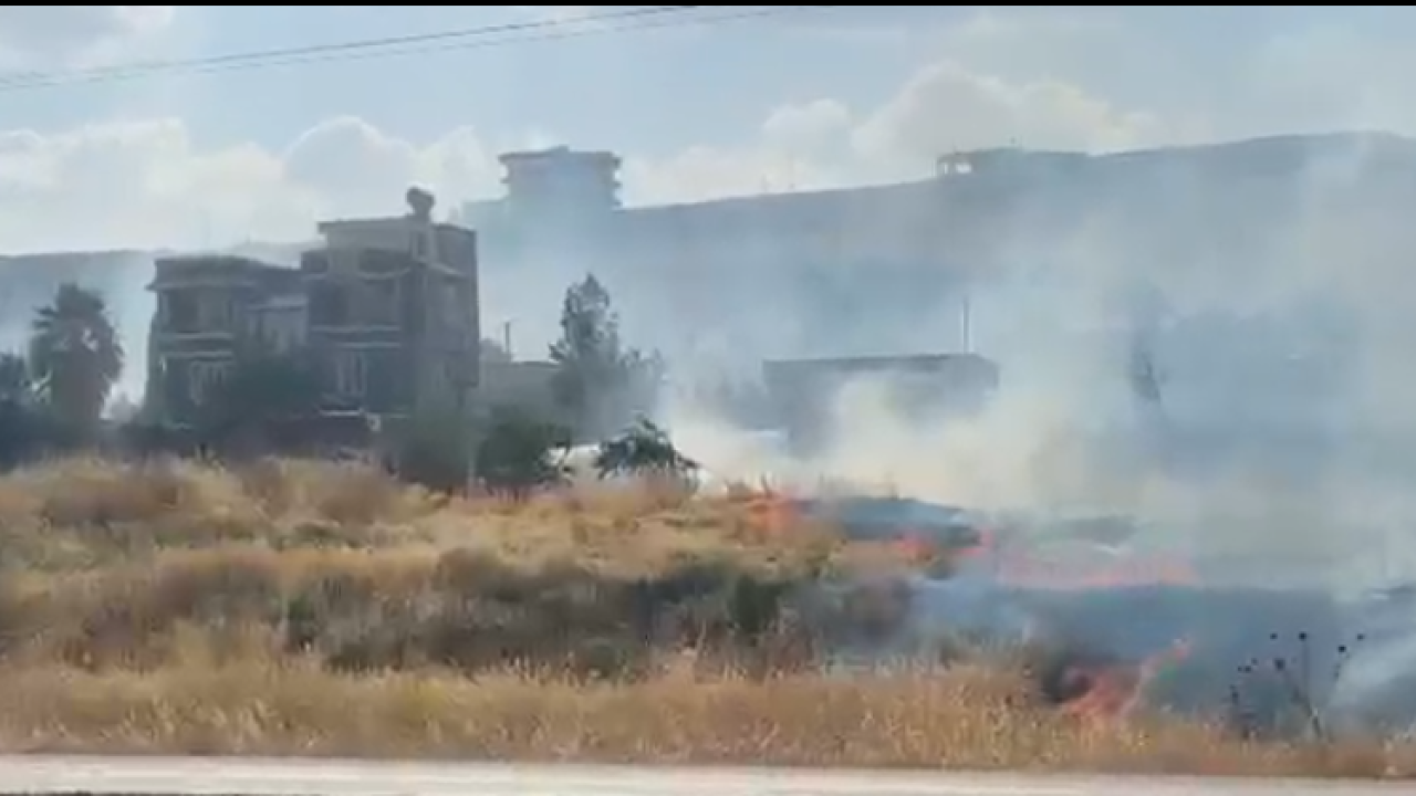 Urfa'da korkutan yangın! 500 dönümlük  otluk alan küle döndü!