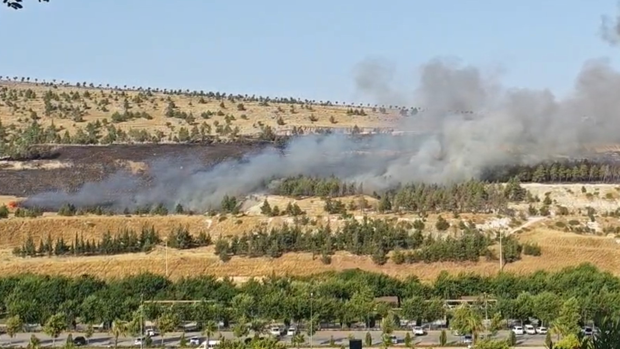Urfa'da ormanlık alanda korkutan yangın!