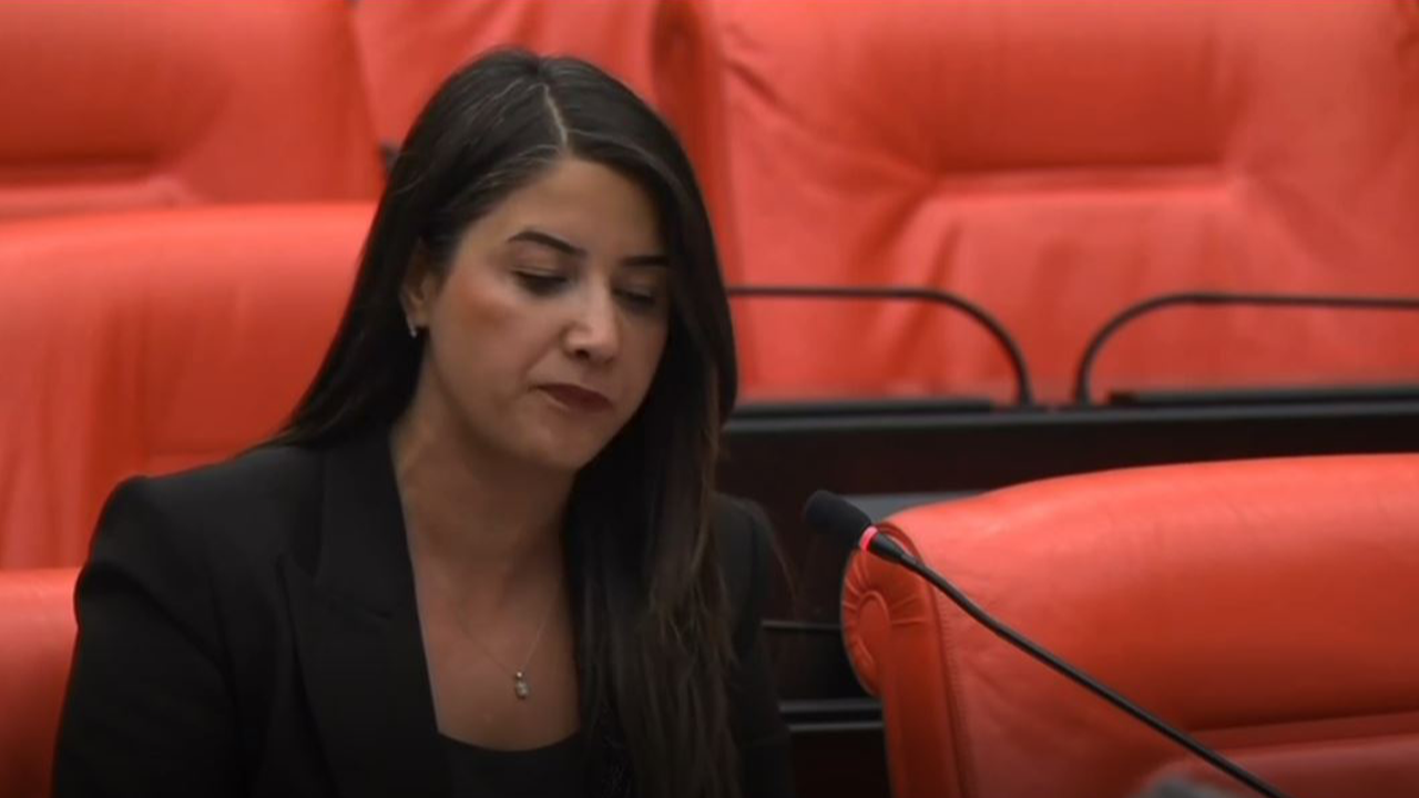 Vekil Ayan sınır ihlali iddialarını Meclis gündemine taşıdı!