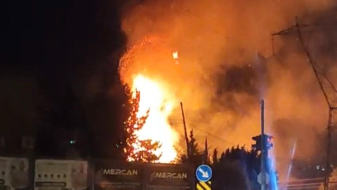 Alevlerin Ortasında Yaşam Mücadelesi! Kaplumbağayı Polis Kurtardı