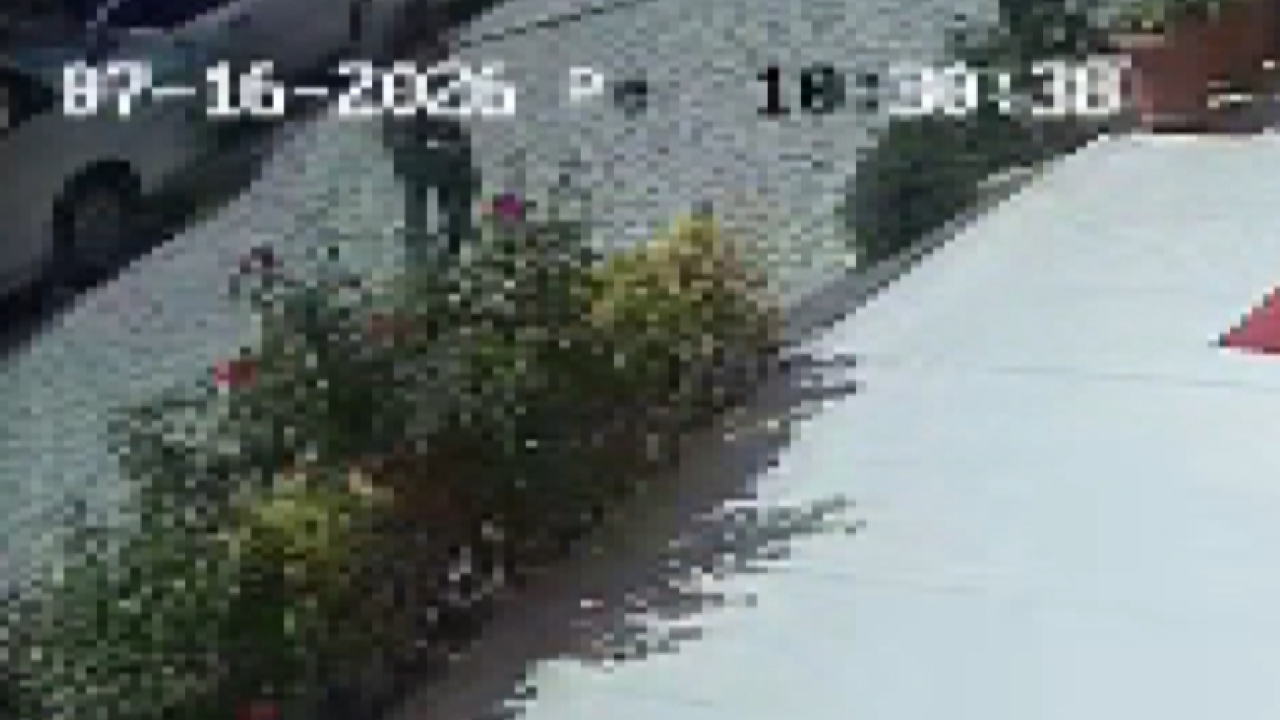 Yaşlı adama silahlı saldırı: O anlar kamerada!