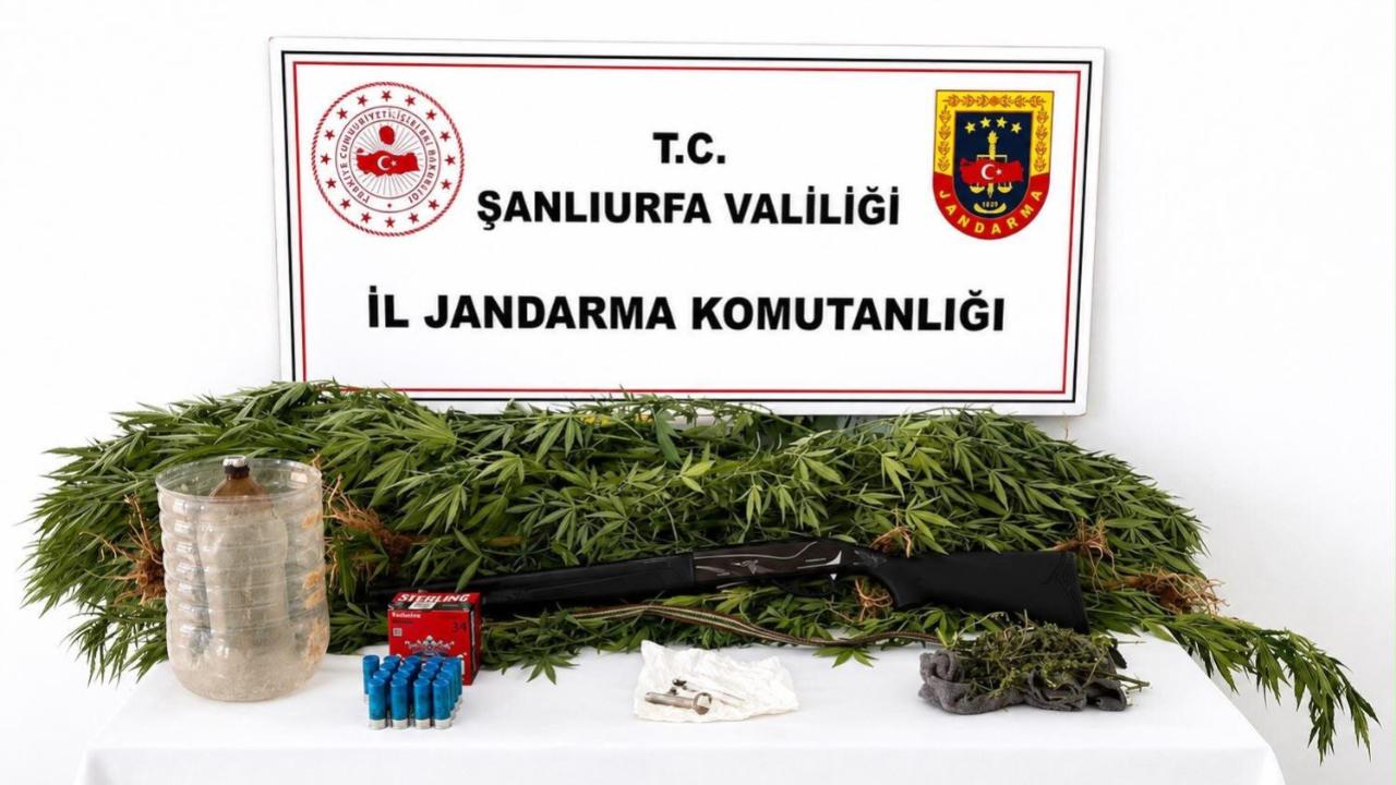 Akçakale'de uyuşturucu operasyonu!