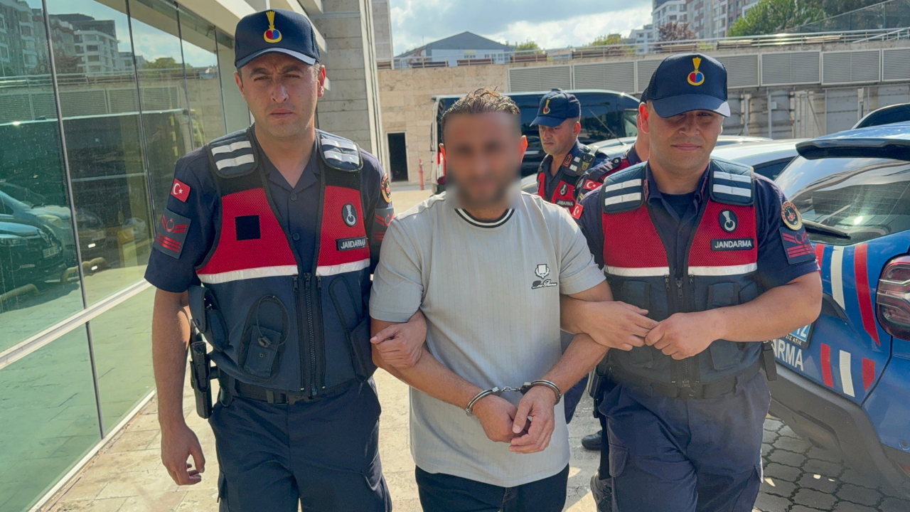 Ayva dalını kesti: Canından oldu!