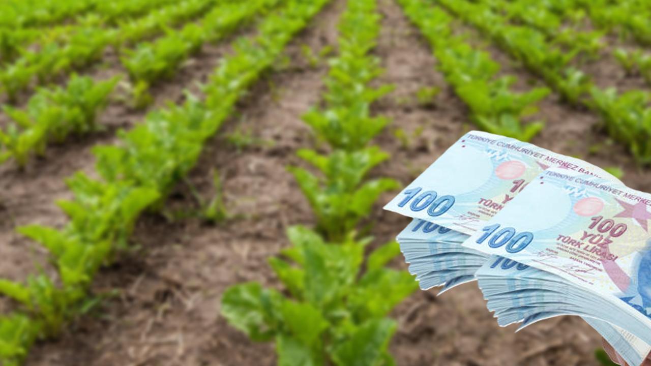 Bakan duyurdu: 991 milyon liralık bakım avansı desteği!