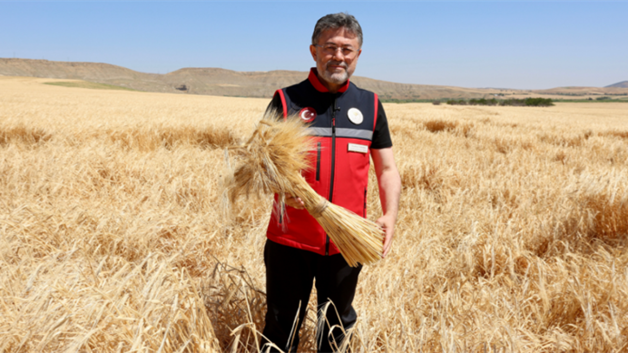 Bakan Yumaklı açıkladı: TMO'dan üreticilere 120 milyar liralık ödeme!