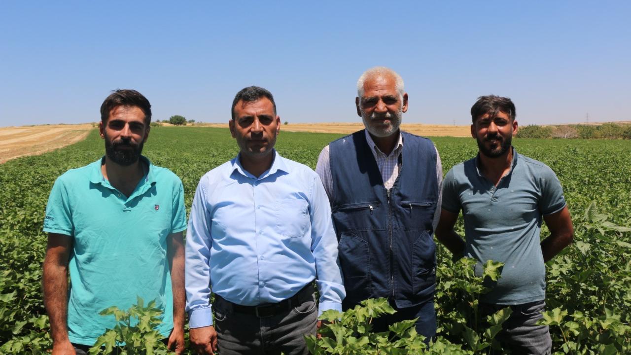 Fidan Suruç'tan seslendi: Çiftçi desteklensin ki üretim devam etsin!
