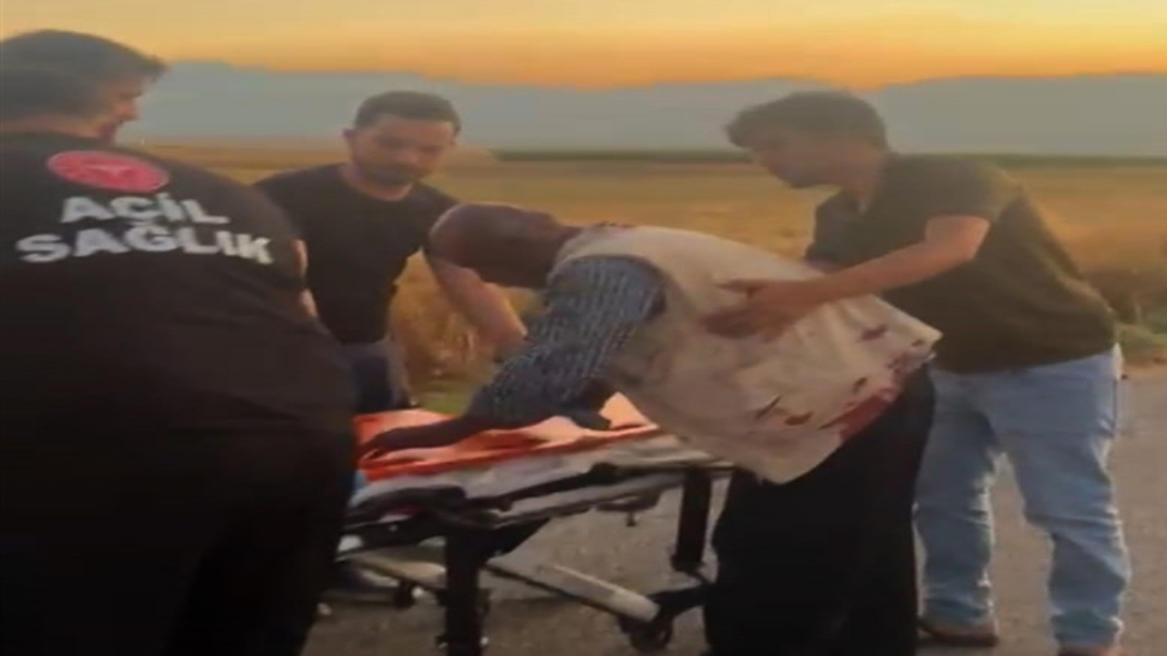 Hayvan otlatma tartışması kavgaya döndü: Yaralılar var!